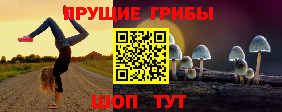 Псилоцибиновые грибы Magic Shrooms  Вход с VPN  Муром 